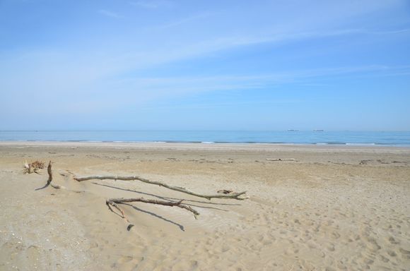 Alberoni Beach