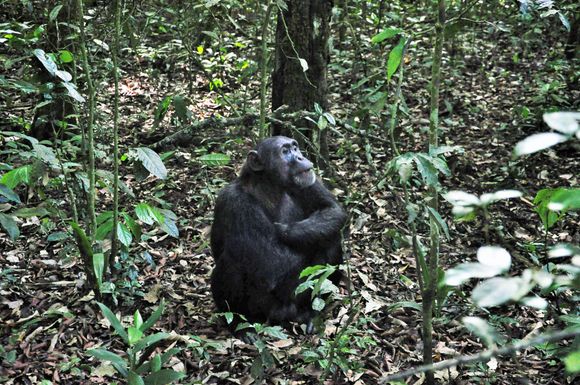 He let us approach as close as 10 feet...