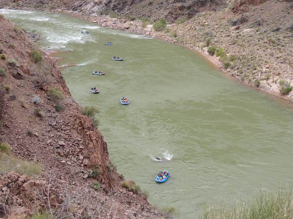 Finally we reached the Colorado River!