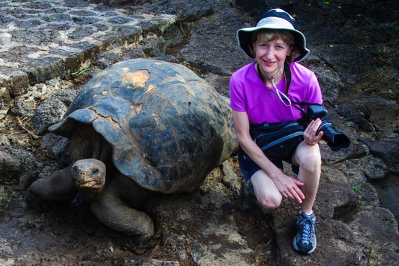 Those giant tortoises are really giant.