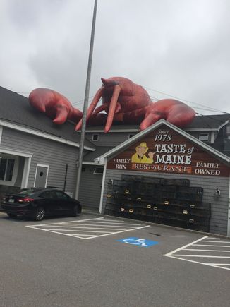 Larry the Lobster. Locals hate him, tourists love him. We didn’t eat here, this is a tour bus kind of place/ not that there’s anything wrong with that. 