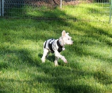 Frannie boldly going....well, she has no idea where she's going....but she's going boldly.