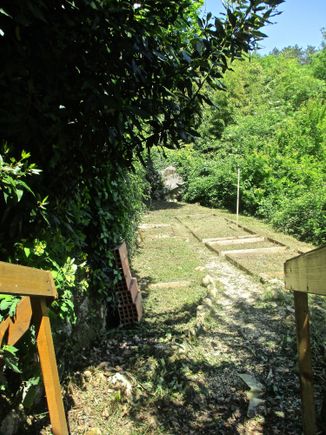 The vegetable garden is all cleared out now