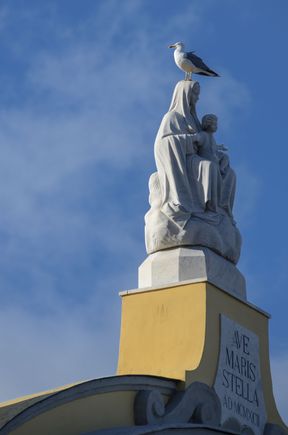 Gulls also made their way all over the piccolo port. They knew the ways of the wind.