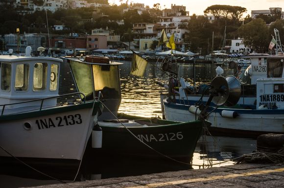 Spare a thought for 2 unfortunate Italians. Local Gino Lucetti tried to assassinate Mussolini early on in '26 and spent the next 17 years in prison. He was freed in '43 only to lose his life soon after during bombing at Cape Miseno. Secondly at Pompeii: the unborn baby still in the womb recently revealed through modern x-rays--her agonized expression is surreal.