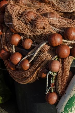 It offers much to painters and