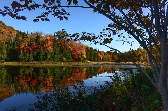 Loved the pleine aire.