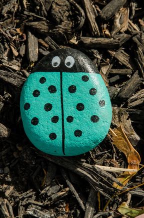 ladybug.