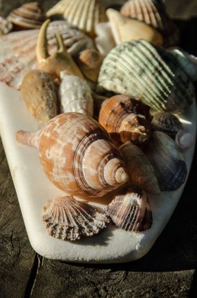 We glued these together atop a piece of water-worn white masonry. My fave part is the little claw.