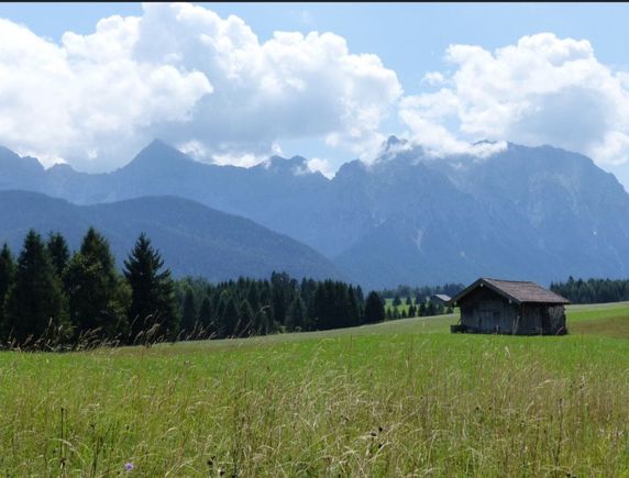 This was from that walk over the buckelwiesen, swandav, loved it! 

Thanks for the ideas, and thanks mel, for chiming in, I seem to be following in your footsteps! 