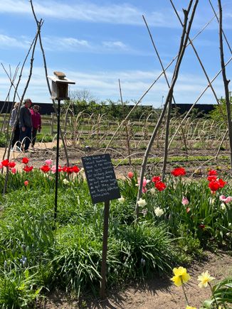 The vegetable gardens are ready for the season!