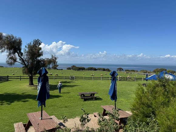 Churchill Island - so pretty and peaceful