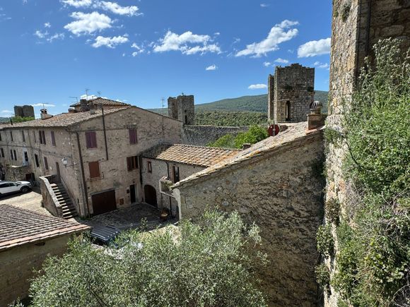 Another view of the village from the walls