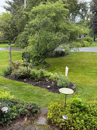 barb, this is for you for a better front garden view.