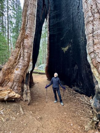 They sure are wide!!!