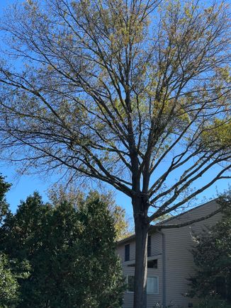 Good bye dear friend. You have given us much pleasure. Monday you will be gone. Thank you. 