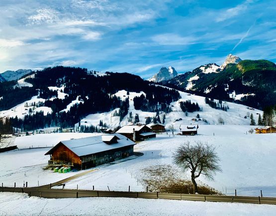 
Safe travels and a merry Christmas! 