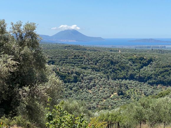 The view from the site