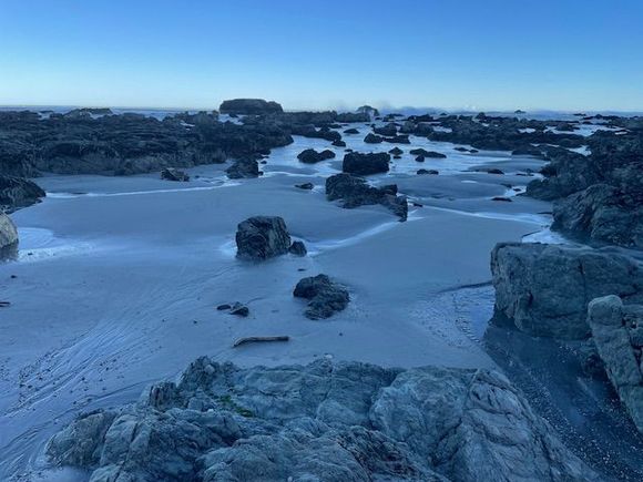 It was actually really windy 