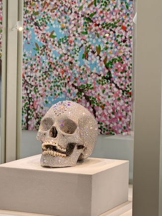 The million dollar skull. 