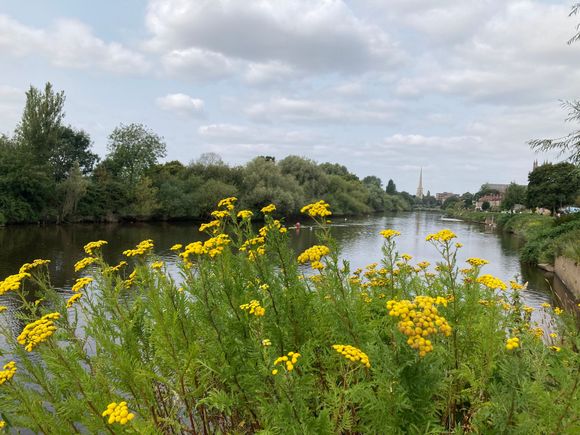 View of the River Severn