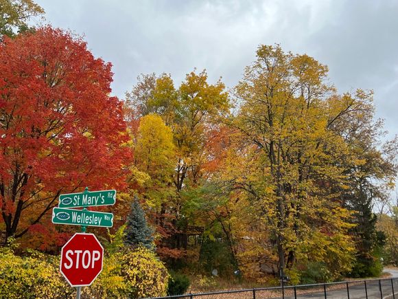 notice the street names.