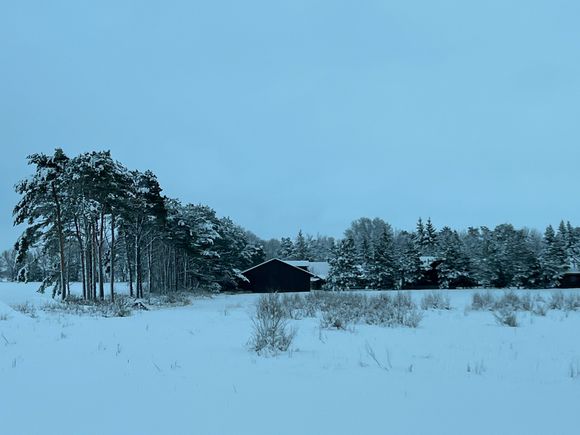 I took these snow photos while riding in the passenger seat while 15 year old Keegan was driving my pickup. He needs at least 40 hours of behind the wheel driving before he can take his drivers license test at age 16.