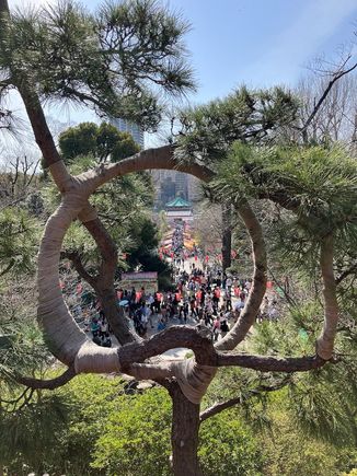Ueno park