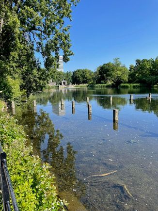 View of the Serpentine Lake looking back at the Italian Gardens
