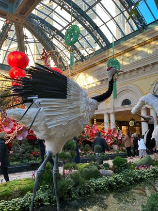 A bird I bet dcd never got a shot of.