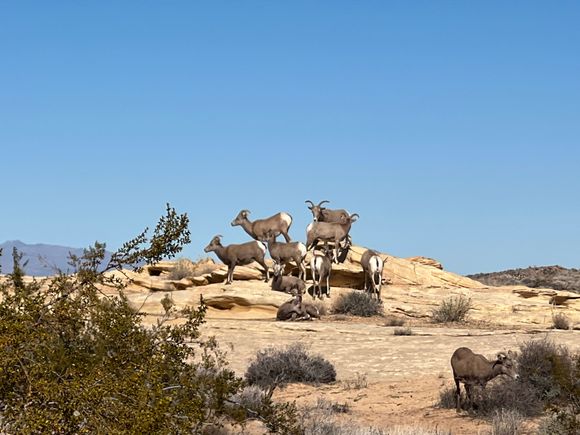 As close to cat photos as I'm going to post this week.