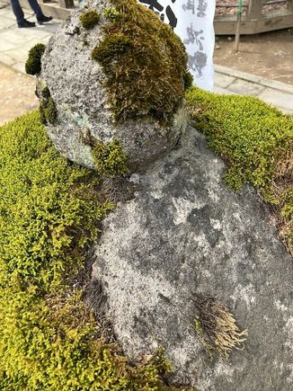 Hida Kokunbunji temple - mossy stone