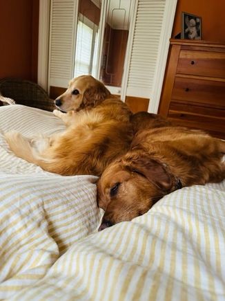 Macchiatos and Weekend Edition mornings. 