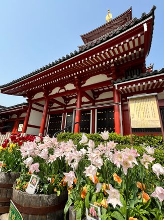 Inside Senso-ji compound