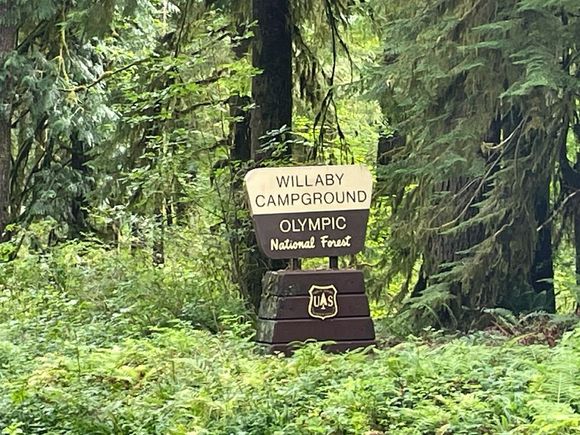 There are three campgrounds on the road to Lake Quinault.  This is better for smaller rigs.