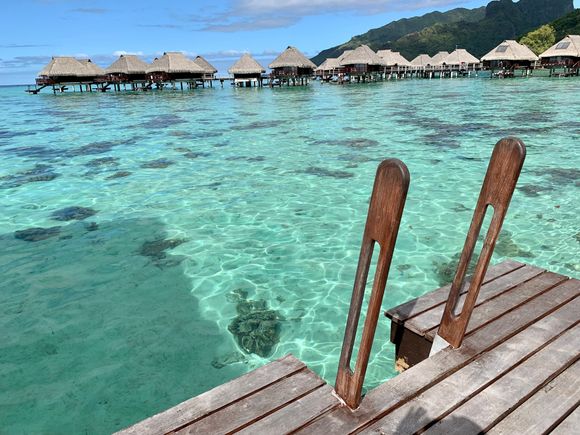 Snorkeling is excellent in our backyard and it’s only 4-5’ deep so Joyce is enjoying it, too. She didn’t do any of the snorkeling excursions from the ship, being a non-swimmer, so she’s getting caught up on what she missed!