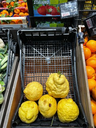 Cedri (etrog in Hebrew) in Supermarket along Via del Corso