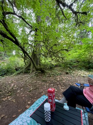 Morning coffee in our campsite.