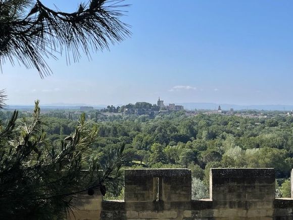 View to Avignon 