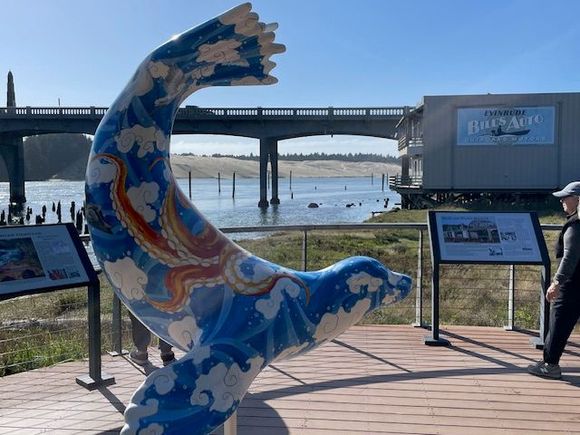 There are a number of these sea lions or seals in town