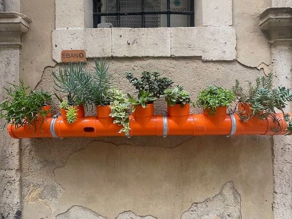 Lots of street art of various forms