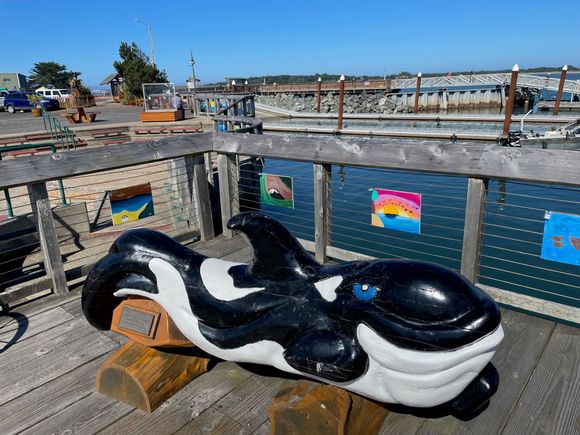  A little Orca ride for the kiddies.