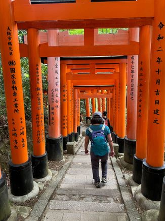 On my down you can see the inscriptions on the back of the torii gates.