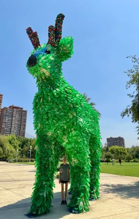 Now this is putting plastic bottles to good use!