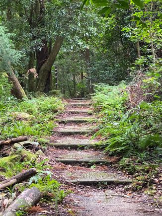 A wonderful walk into the beauty of the island 