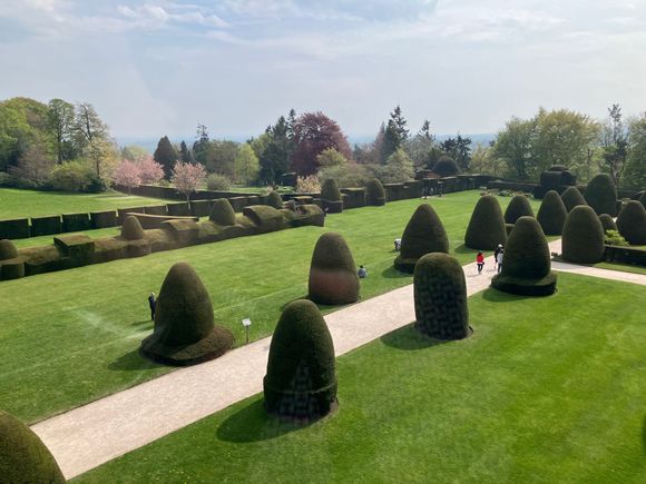 Topiary seen from inside the castle