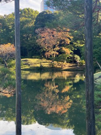 A little autumn color