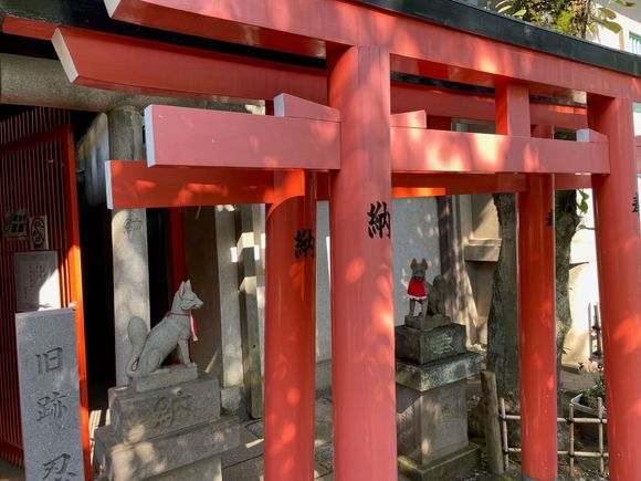 Little foxes guarding the gates.