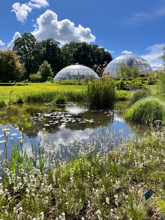 Botanical garden with its greenhouse domes