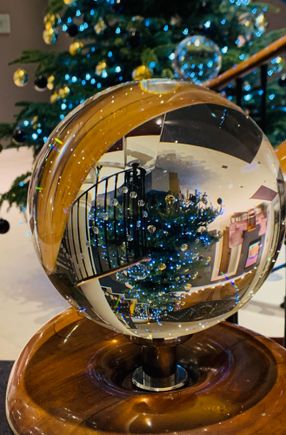 
I like the way the tree appears upside down in the crystal ball. 